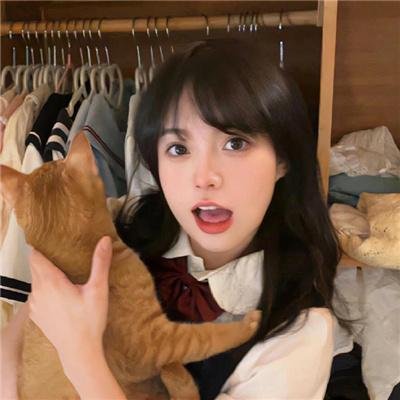 安邦定国志